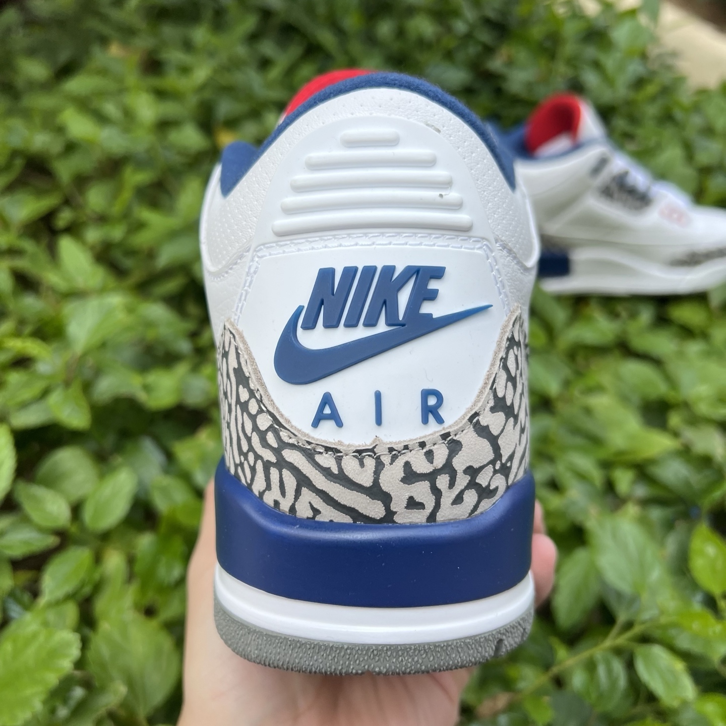 Nike Jordan shoe